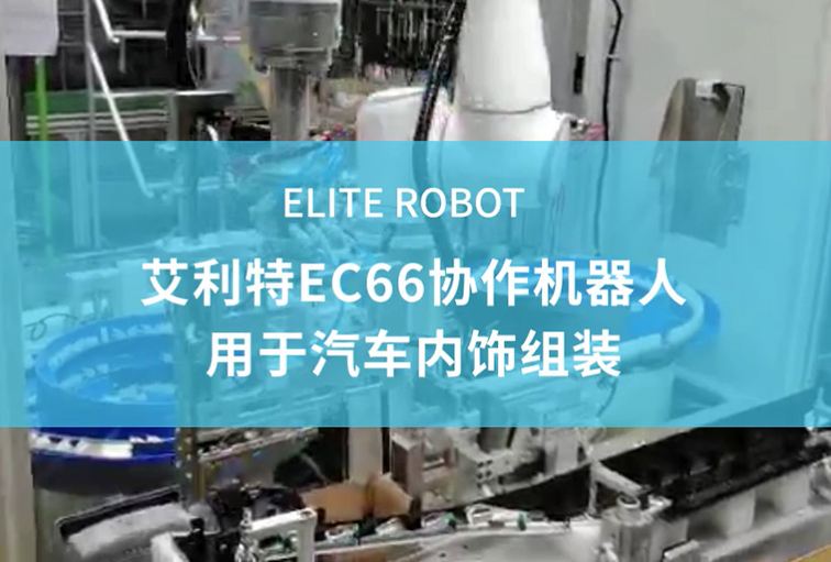 EC66fC